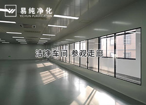 潔凈參觀走廊這樣設計大氣不？